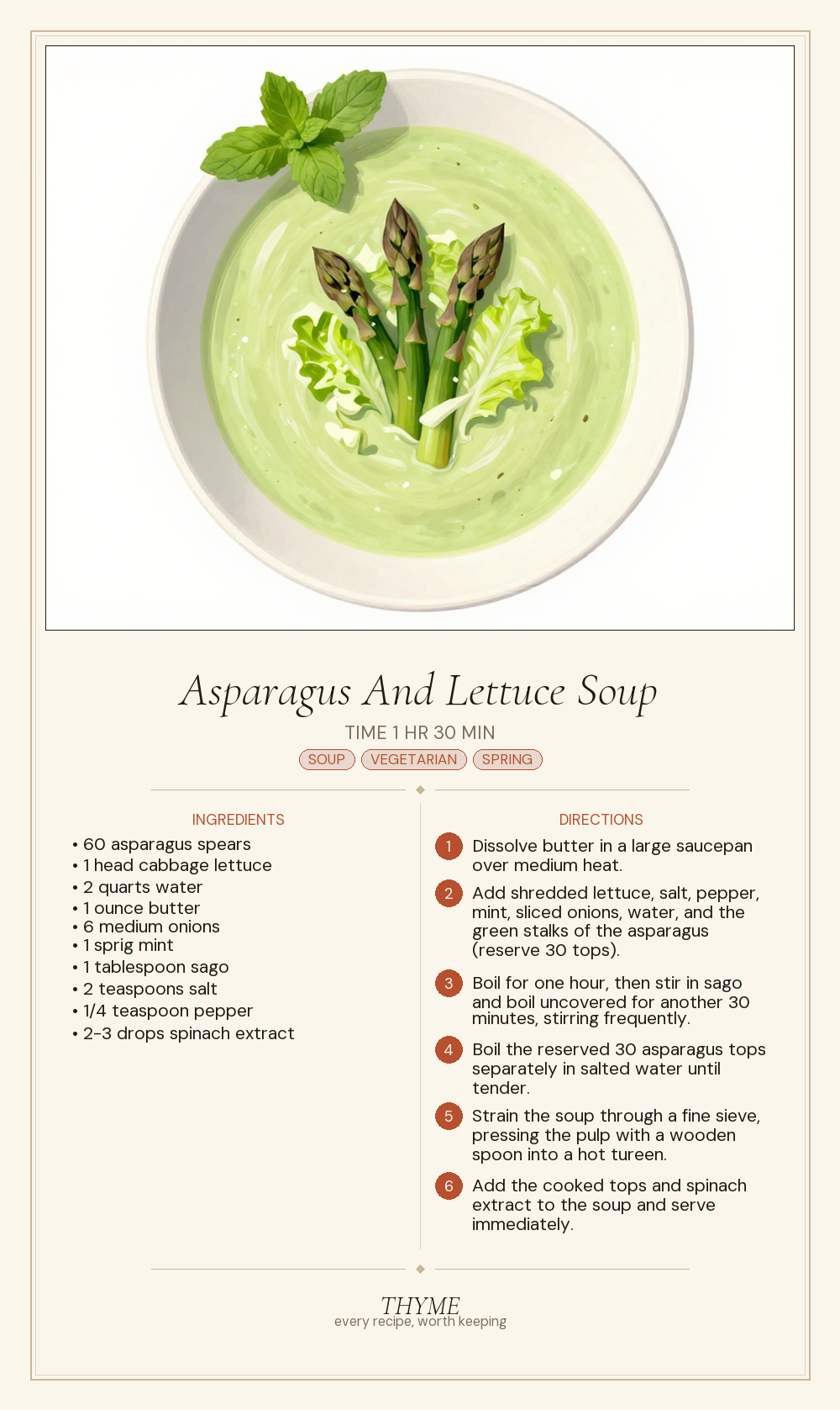 Asparagus And Lettuce Soup