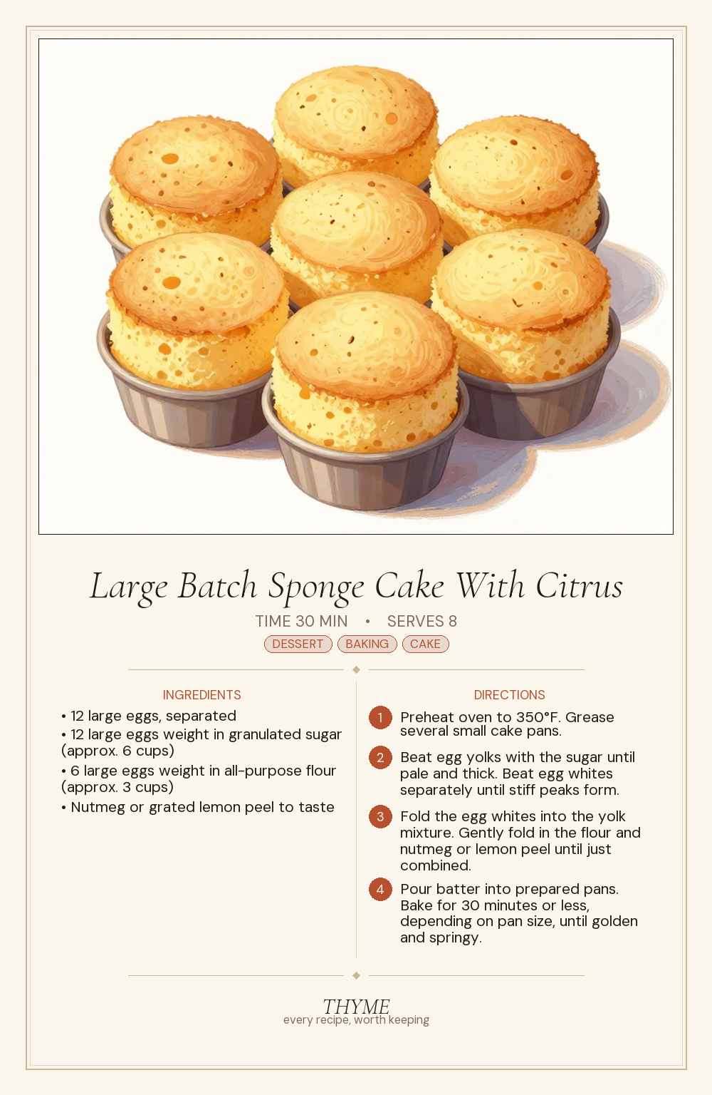 Large Batch Sponge Cake With Citrus