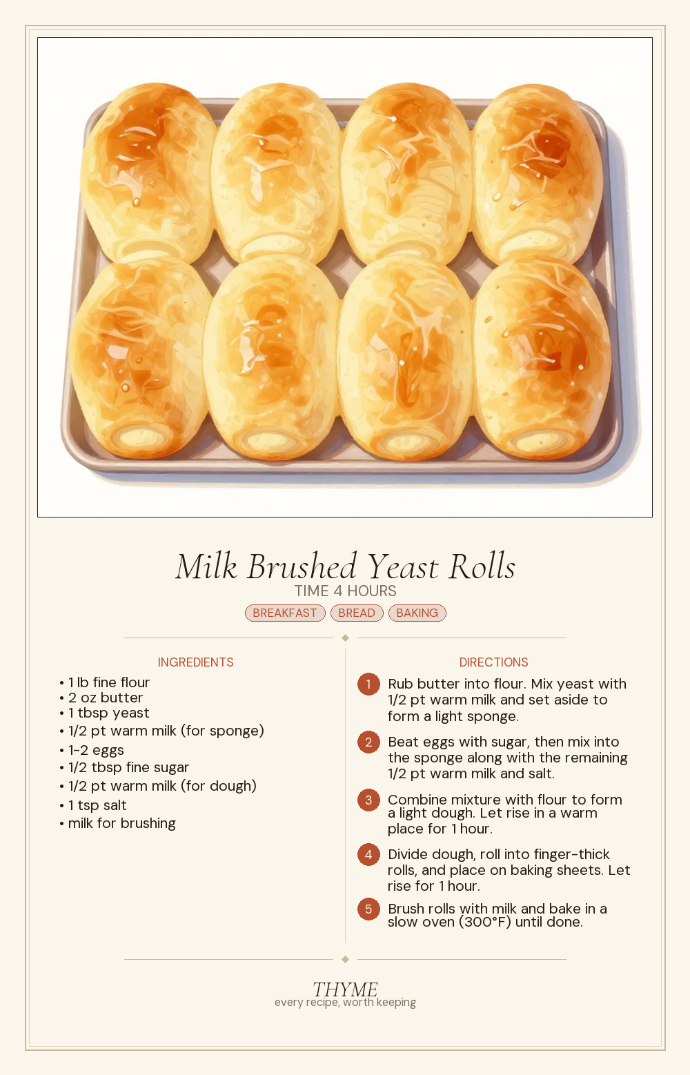 Milk Brushed Yeast Rolls