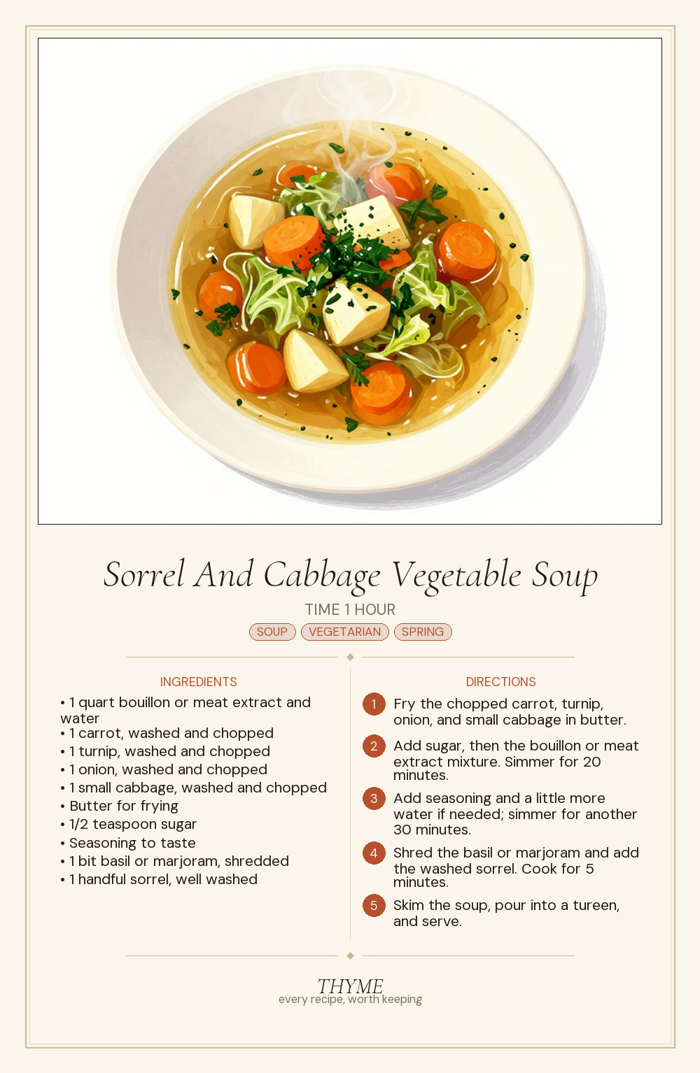 Sorrel And Cabbage Vegetable Soup