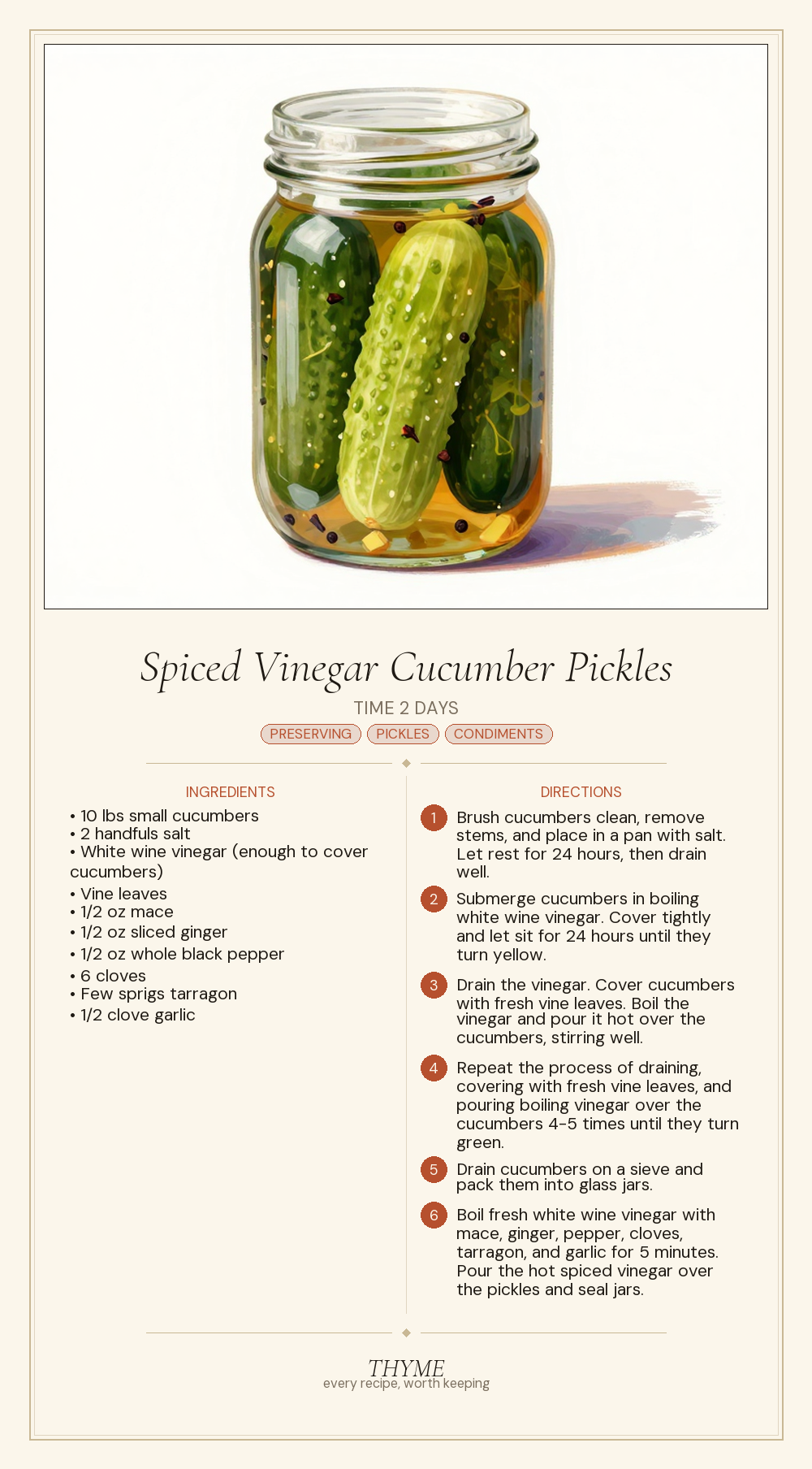 Spiced Vinegar Cucumber Pickles
