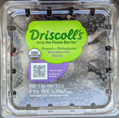 Organic Blackberries