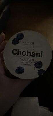 Greek Yogurt Blueberry on the Bottom